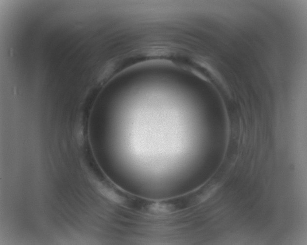 X0000062880261200601131316
