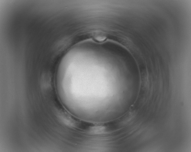 X0000062880266200601131316