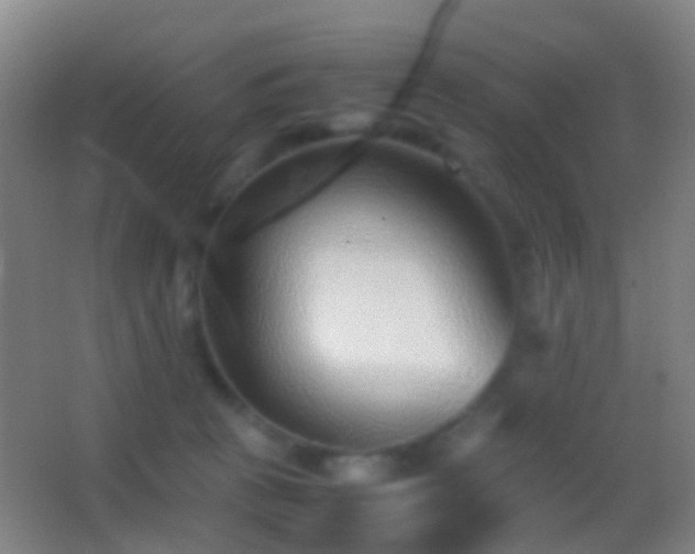 X0000062880273200601131316