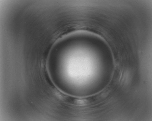 X0000062880277200601131316