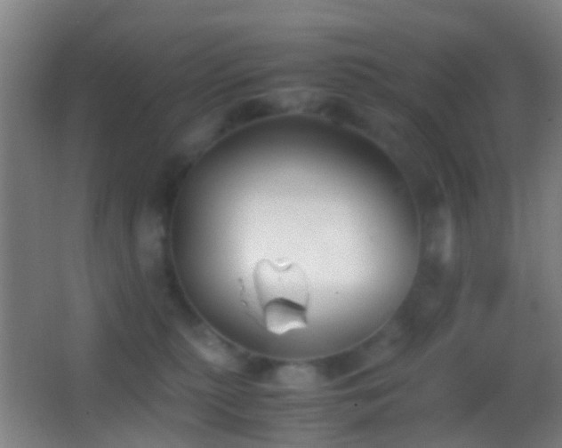 X0000062880279200601131316