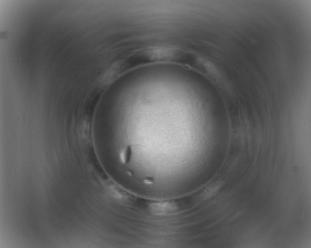 X0000062880281200601131316