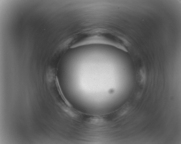 X0000062880284200601131316