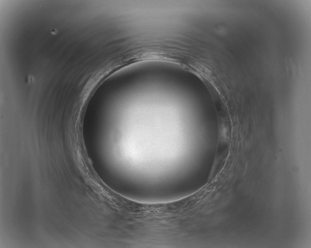X0000062880289200601131316