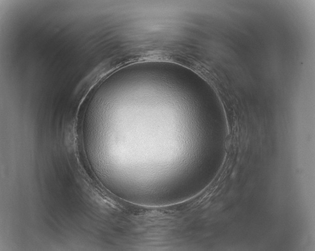 X0000062880290200601131316