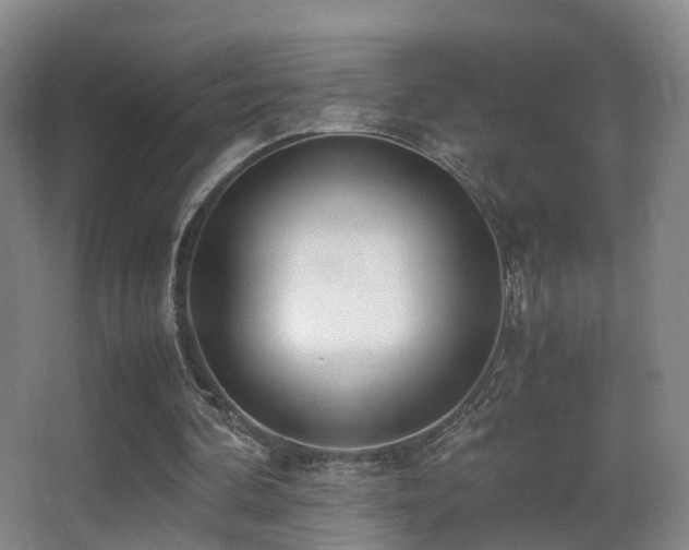 X0000062880292200601131316