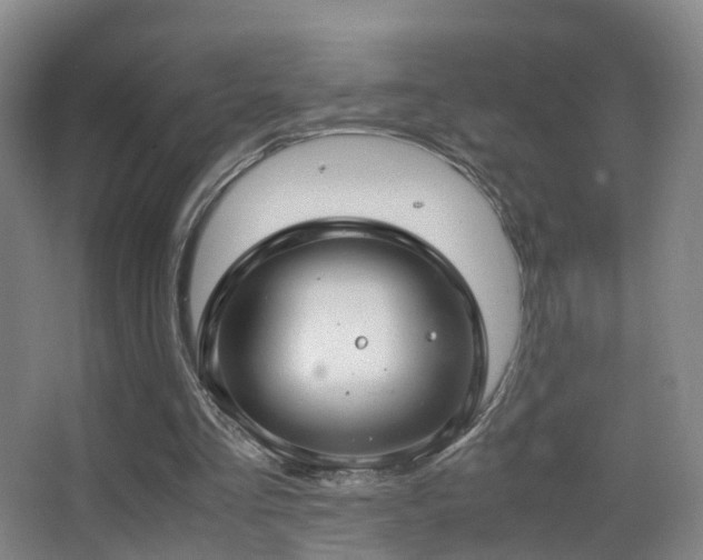 X0000062880293200601131316