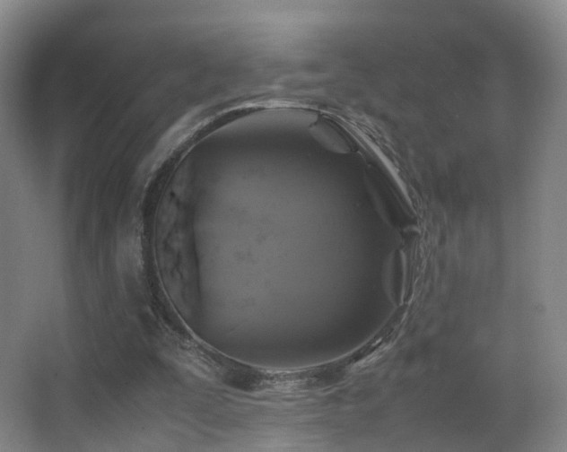 X0000062880295200601131316