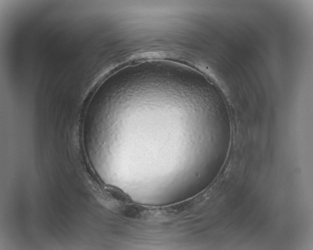 X0000062880297200601131315