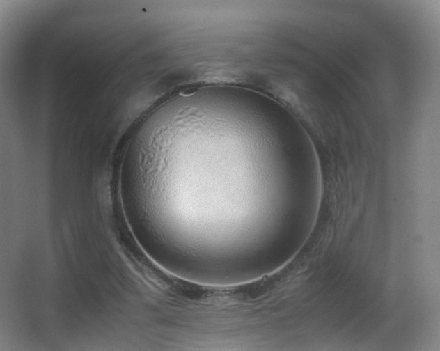 X0000062880299200601131315