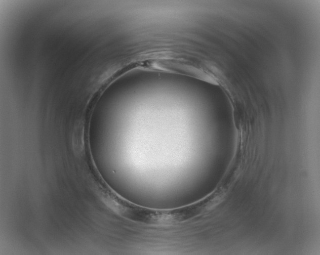 X0000062880301200601131315