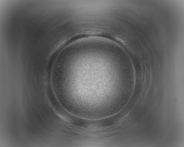 X0000062880303200601131315