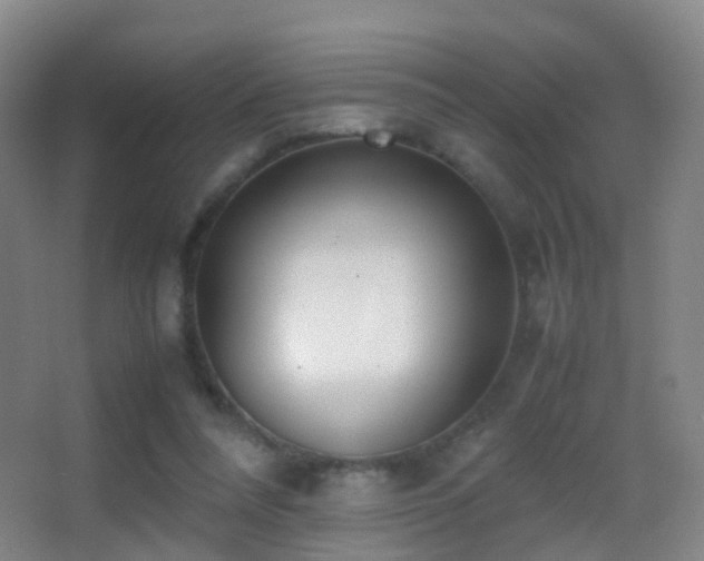 X0000062880304200601131315