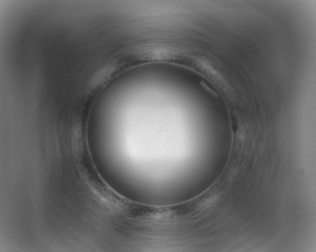 X0000062880306200601131315