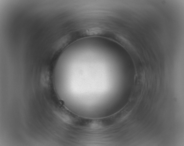 X0000062880308200601131315
