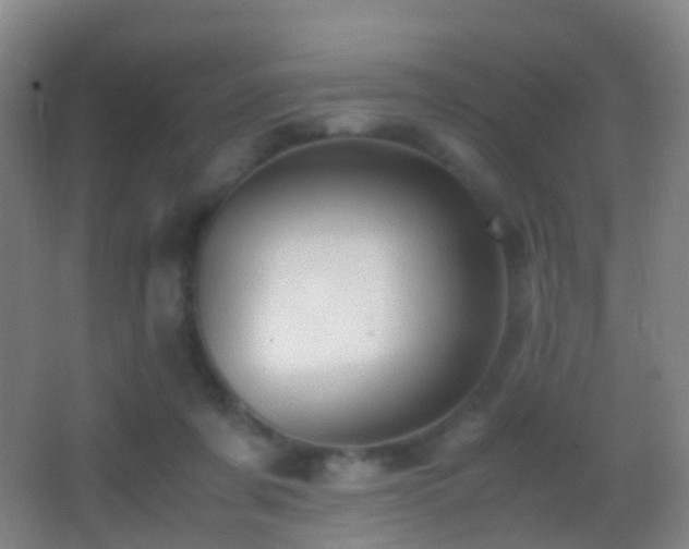 X0000062880311200601131315