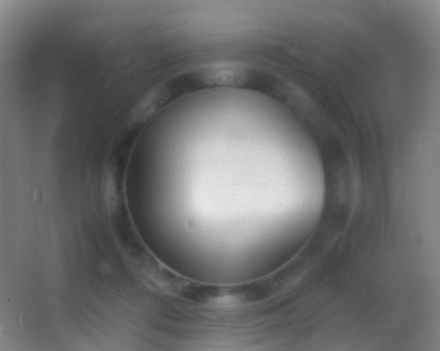 X0000062880312200601131315