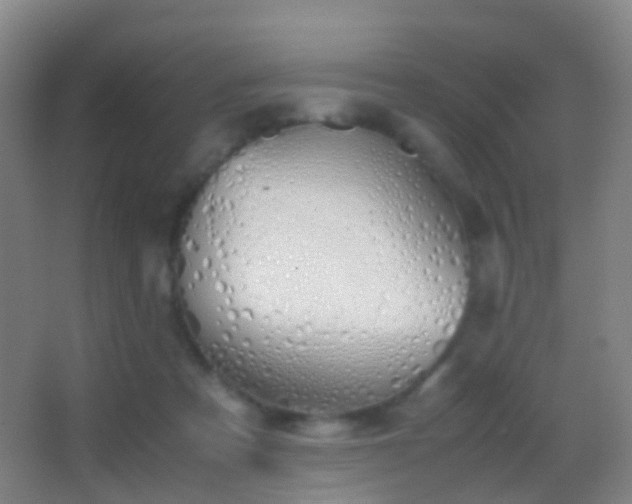 X0000062880313200601131315