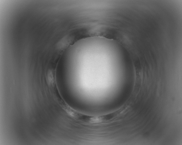 X0000062880335200601131315