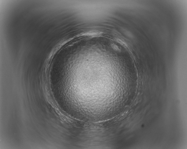X0000062880337200601131314