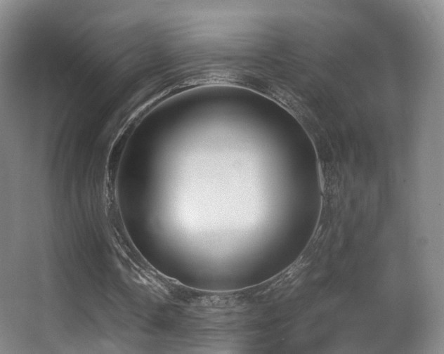 X0000062880338200601131314