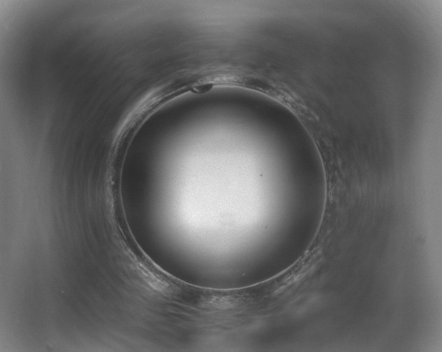 X0000062880341200601131314