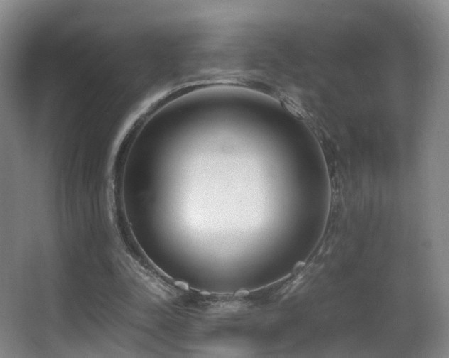 X0000062880342200601131314