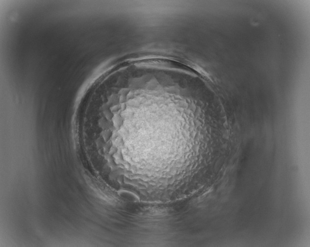 X0000062880343200601131314