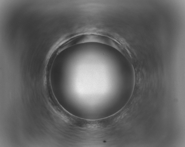 X0000062880344200601131314