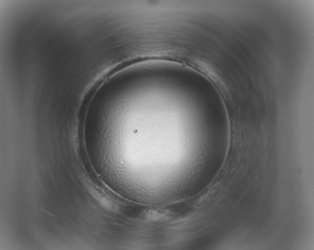 X0000062880346200601131314