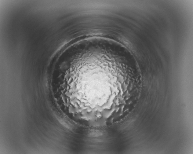 X0000062880347200601131314
