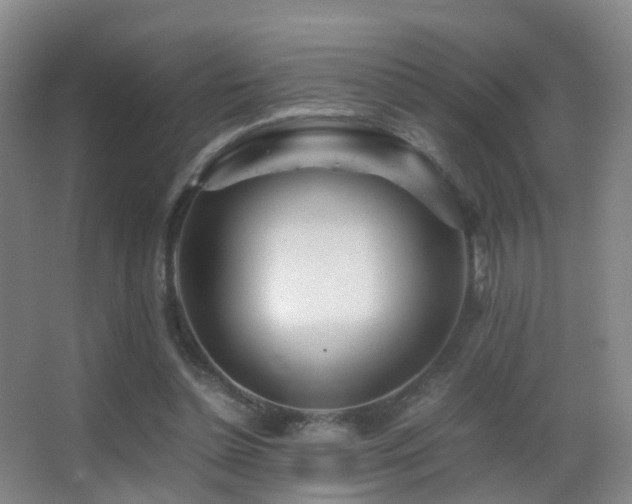 X0000062880348200601131314