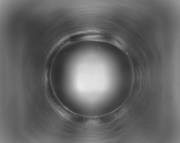 X0000062880350200601131314