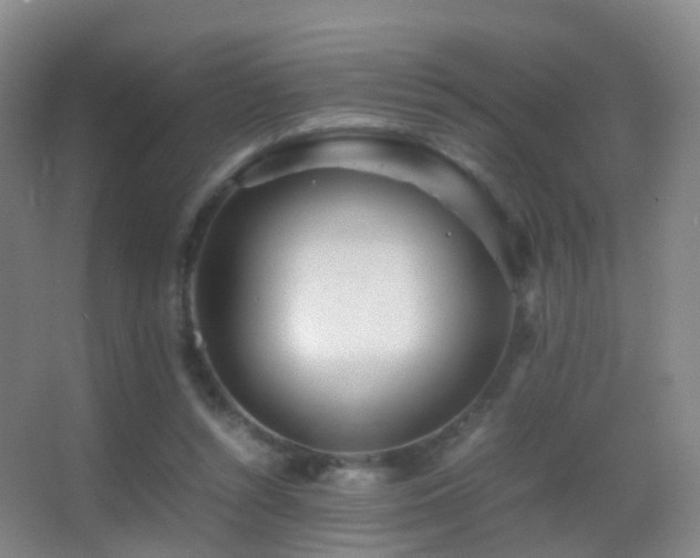 X0000062880352200601131314