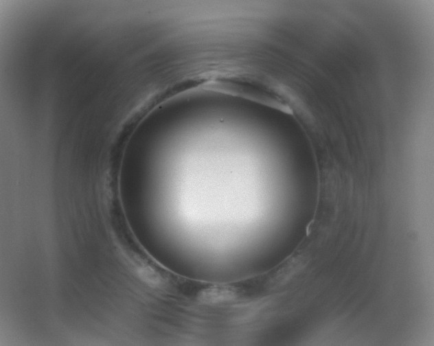 X0000062880354200601131314