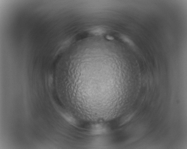 X0000062880365200601131314