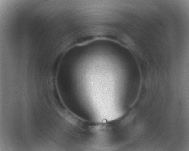 X0000062880366200601131315