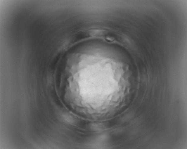 X0000062880367200601131315