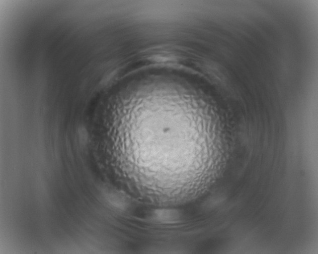 X0000062880371200601131315