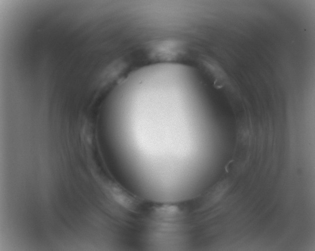 X0000062880374200601131315