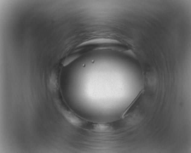 X0000062880380200601131315