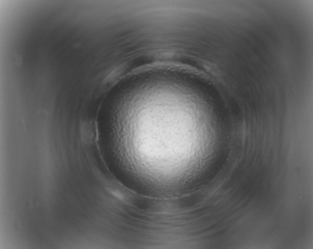 X0000062880383200601131315