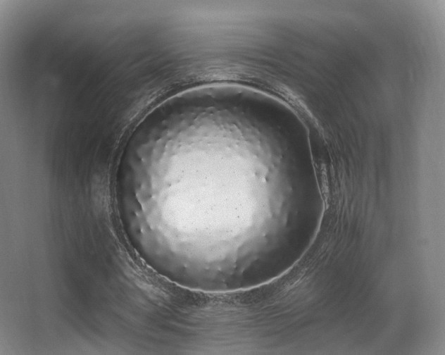 X0000062880386200601131314