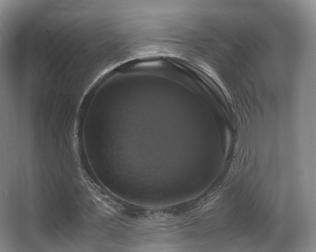X0000062880387200601131314