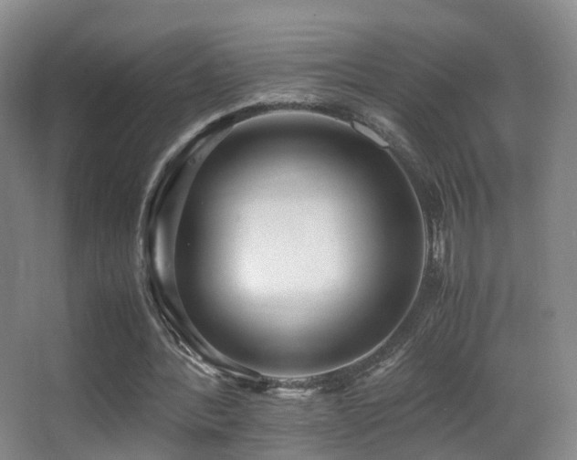 X0000062880388200601131314