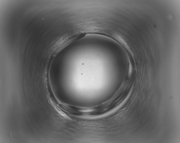 X0000062880389200601131314