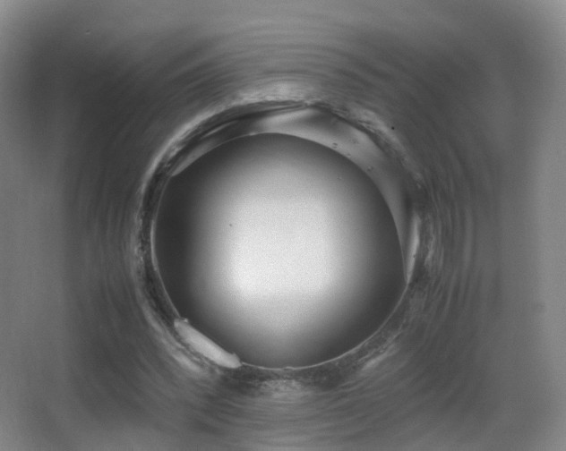 X0000062880392200601131314