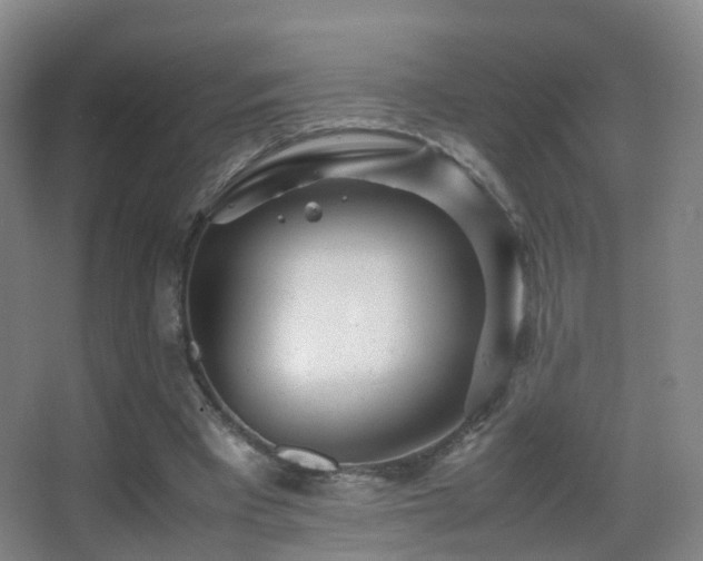 X0000062880393200601131314
