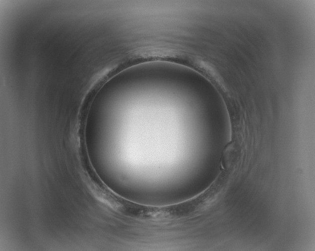 X0000062880395200601131314