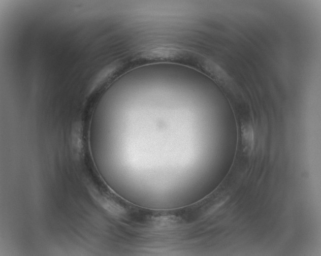 X0000062880396200601131314